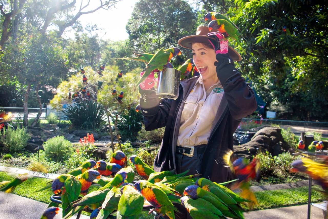 Currumbin Wildlife Sanctuary Gold Coast Ticket - image 3
